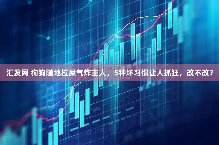 汇发网 狗狗随地拉屎气炸主人，5种坏习惯让人抓狂，改不改？
