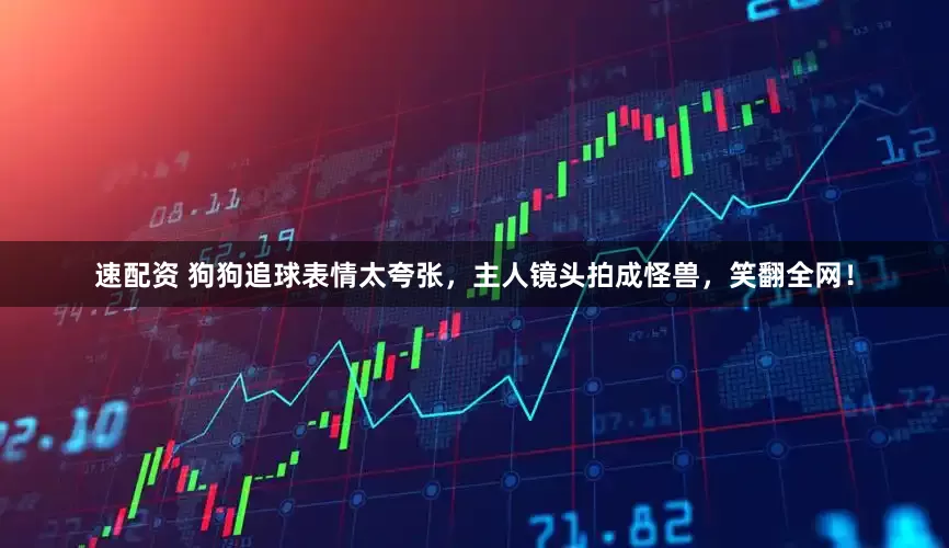 速配资 狗狗追球表情太夸张，主人镜头拍成怪兽，笑翻全网！