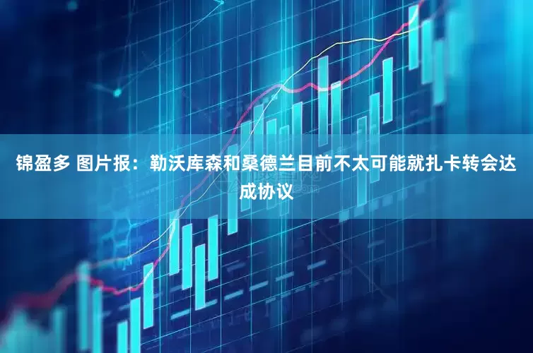锦盈多 图片报：勒沃库森和桑德兰目前不太可能就扎卡转会达成协议