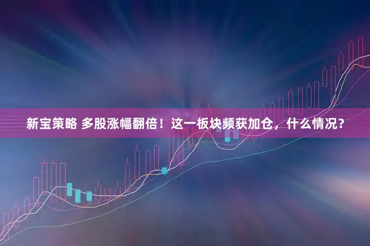 新宝策略 多股涨幅翻倍！这一板块频获加仓，什么情况？