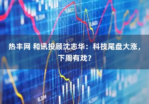 热丰网 和讯投顾沈志华：科技尾盘大涨，下周有戏？