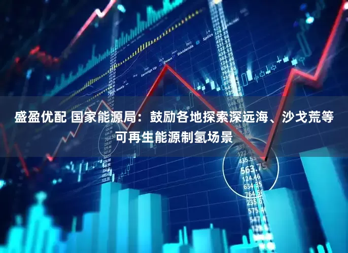 盛盈优配 国家能源局：鼓励各地探索深远海、沙戈荒等可再生能源制氢场景